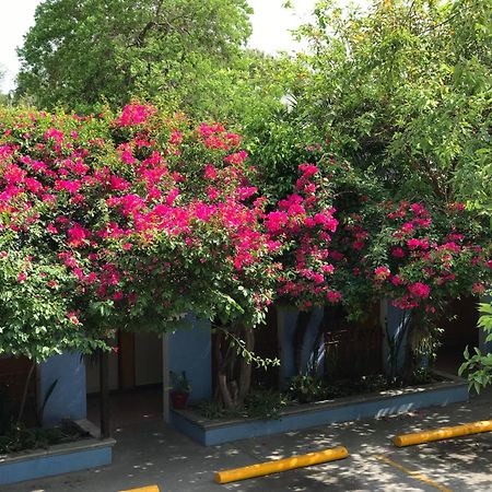 Hotel Hacienda Del Viejo Matamoros  Exteriör bild