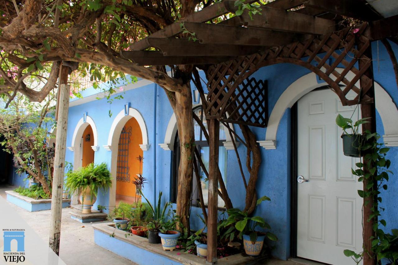 Hotel Hacienda Del Viejo Matamoros  Exteriör bild