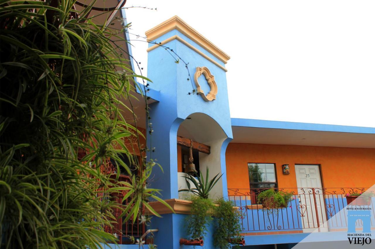 Hotel Hacienda Del Viejo Matamoros  Exteriör bild
