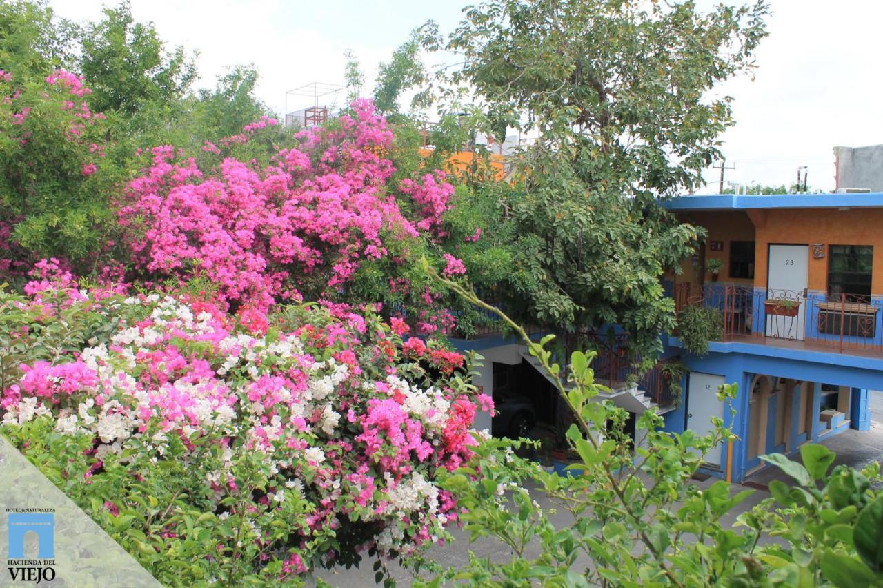 Hotel Hacienda Del Viejo Matamoros  Exteriör bild